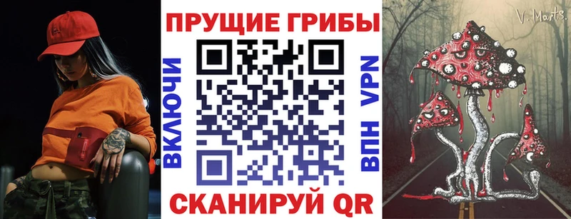 дарнет шоп  Воронеж  Галлюциногенные грибы мухоморы 